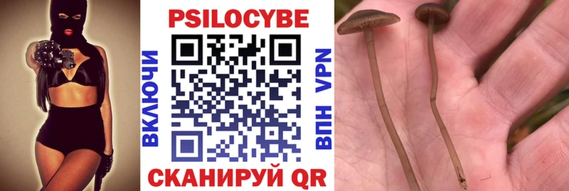 Галлюциногенные грибы мухоморы  darknet телеграм  Нахабино 